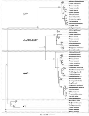 dLp/HDL-BGBP and MTP Cloning and Expression Profiles During Embryonic Development in the Mud Crab Scylla paramamosain